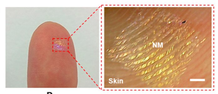 Корейские ученые разработали крошечные эластичные динамики и микрофоны, которые встраиваются в кожу