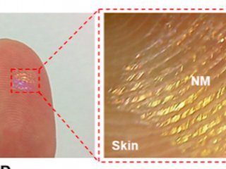Корейские ученые разработали крошечные эластичные динамики и микрофоны, которые встраиваются в кожу