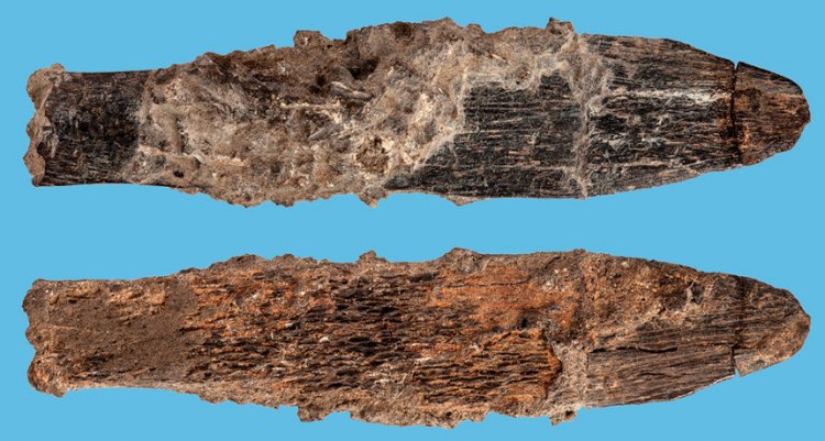 В Африке обнаружили древнейший костяной нож специального назначения