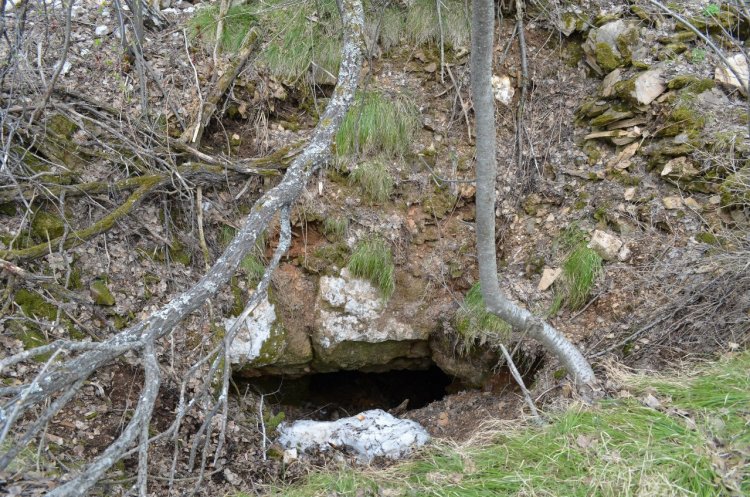 Фото предоставлены Петром Неволько