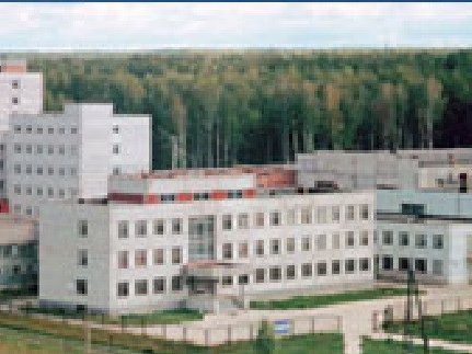 В ИХТТМ СО РАН создали композит против вирусов герпеса и лихорадки Западного Нила