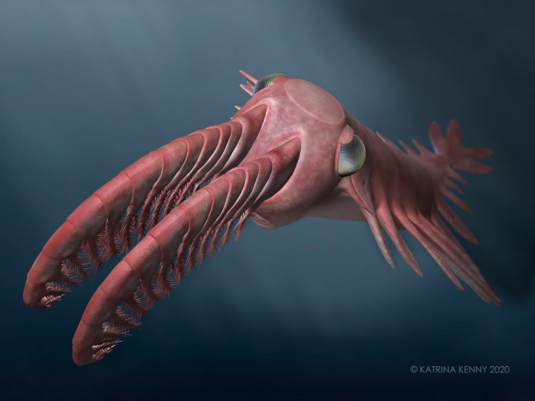 Древние морские существа могли видеть на глубине