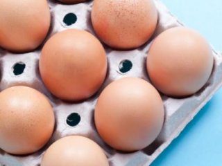 Дезинфекция яиц позволит снизить дозу антибиотиков при выращивании цыплят