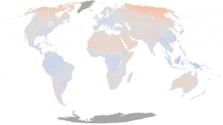 Смоделированные температурные смещения между температурой почвы и воздуха. Источник: Glob Change Biol. 2022; 28: 3110–3144