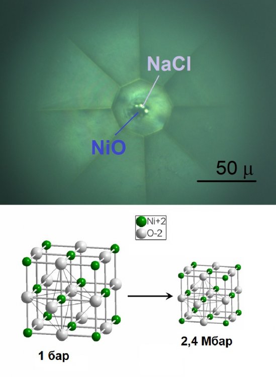 Фотография экспериментального образца в среде хлорида натрия и модель кристаллической решетки NiO при сжатии. Источник: Александр Гаврилюк