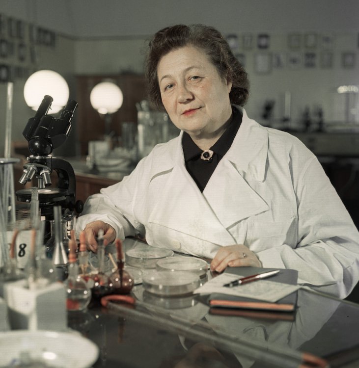 Советский микробиолог и эпидемиолог Зинаида Виссарионовна Ермольева, 1959 г.
