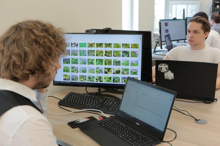 Лаборатория искусственного интеллекта в сельском хозяйстве. Студенты работают над проектами с использованием ИИ