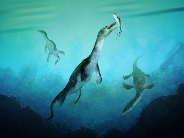 Реконструкция древнейшей морской рептилии Южного полушария. Нотозавр плавал вдоль древнего южного полярного побережья современной Новой Зеландии около 246 миллионов лет назад. Фото: Stavros Kundromichalis, Uppsala University