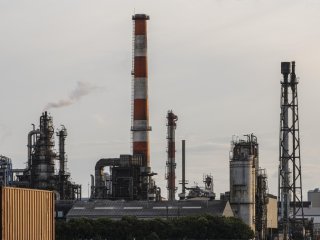 Исследователи из РАН изучают экосистему Норильского промышленного региона. Фото: freepik / фотобанк Freepik