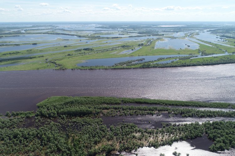 Обь. Фото А. Завадского