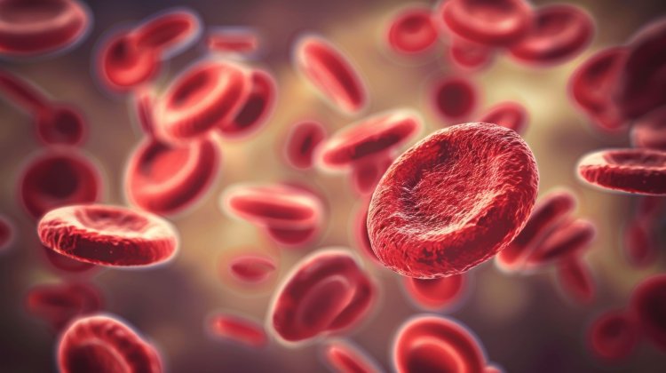 Изображение: hooyah808/Фотобанк RU.123.RF