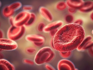 Изображение: hooyah808/Фотобанк RU.123.RF