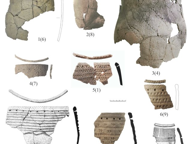 Образцы черепков глиняной посуды времен неолита. Фотография предоставлена исследователем (Денис Рогозин)