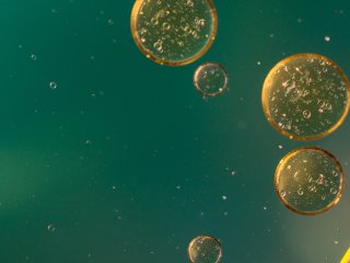 Источник фото: ru.123rf.com