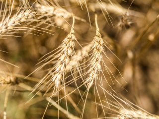 Изображение: Фотобанк Freepik