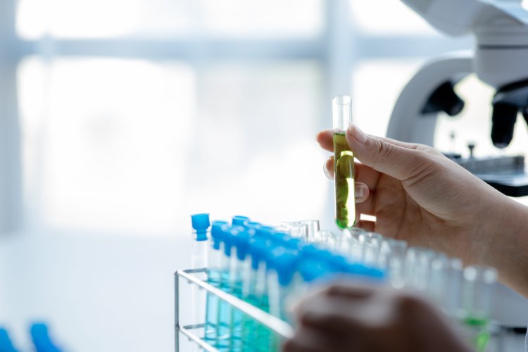 Источник фото: ru.123rf.com