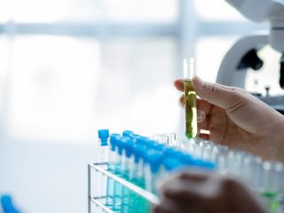 Источник фото: ru.123rf.com