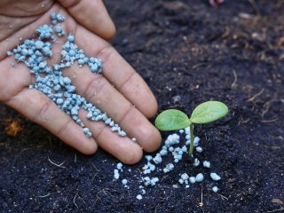 Источник фото: ru.123rf.com