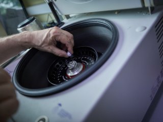 В отделе взаимодействия вирусов с клеткой НИИ ФХБ МГУ. Фото: Елена Либрик / «Научная Россия»