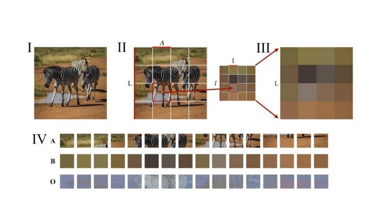 Размытие исходного изображения путем деления пикселей на блоки и усреднения цвета в них. Источник: Bagrov et al/ PNAS.