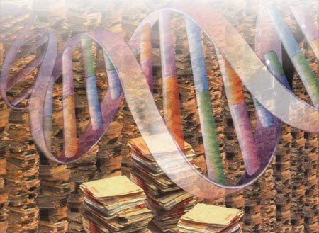 Молекула ДНК вместит всю Википедию на миллион лет