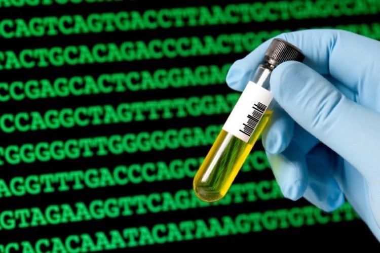 Myriad Genetics: очередное дело о пациентах и правах на гены