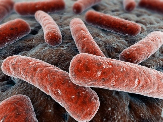 До четверти населения планеты может страдать от скрытой формы туберкулеза