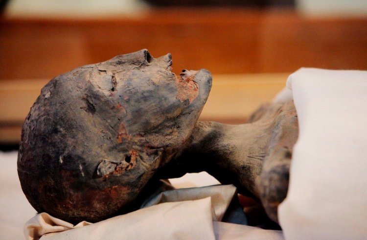Ученые нашли и расшифровали ДНК 90 древнеегипетских мумий