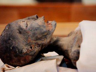 Ученые нашли и расшифровали ДНК 90 древнеегипетских мумий