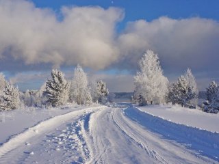 Ученые ИМКЭС СО РАН выяснили, почему зимы в Западной Сибири стали холоднее