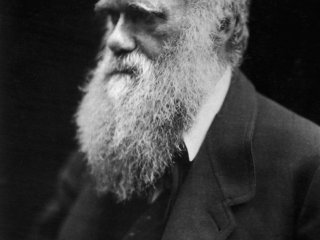 12 марта в Дарвиновском музее откроется выставка "Дарвин и мы" к 210-летию Ч. Дарвина и 160-летию выхода в свет "Происхождения видов"