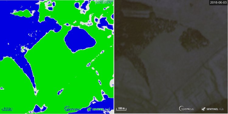 Снимок леса в районе поселка Погорелка (правый) и его распознание нейросетью (левый). Изображение авторов исследования