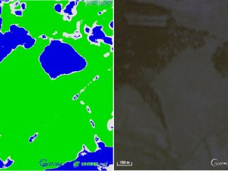 Искусственный интеллект определит границы лесов по космическим фотографиям
