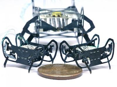Разработан мощный и ловкий робот размером с таракана