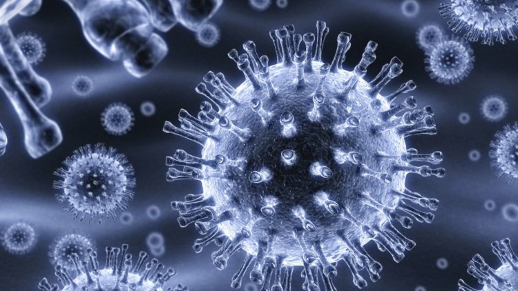 Эксперты СПбГУ создали модуль для расшифровки генома коронавируса