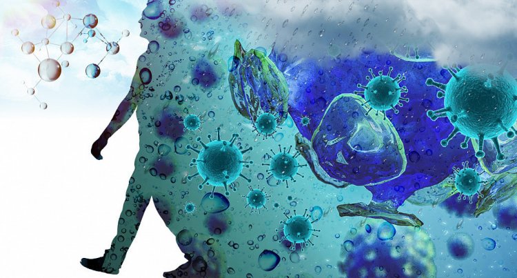 Ученые РФ, США и Израиля предложили способ исследования выживаемости коронавируса на воздухе
