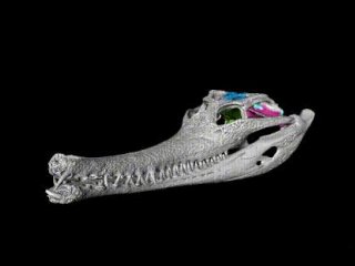 Ученые впервые описали все структуры мозговой коробки крокодила