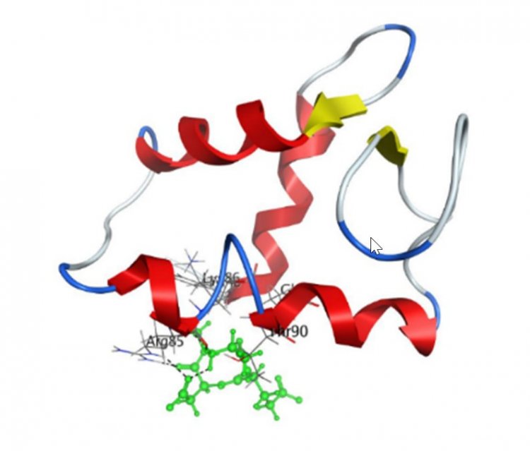 Взаимодействие пептида AEDG c аминокислотной последовательностью Tyr46-Arg85-Lys86-Thr90-Gln91 гистона Н1/6