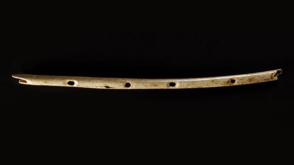 Сорока тысячелетняя флейта