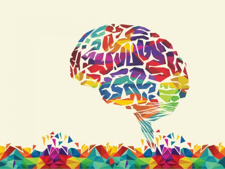 Художественное изображение головного мозга человека. Источник: 123rf.com