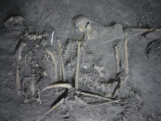 В Мексике обнаружены останки древней обезьяны, принесенной в дар 