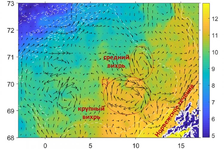 Температура поверхности моря (°C, цветом) и скорости течения (стрелки). Виден крупный вихрь, сформировавшийся на Норвежском течении и переносящий тепло на северо-запад, а также более мелкий вихрь. © Предоставлено Игорем Башмачниковым