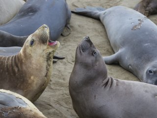 Фото: wollertz / ru.123rf.com