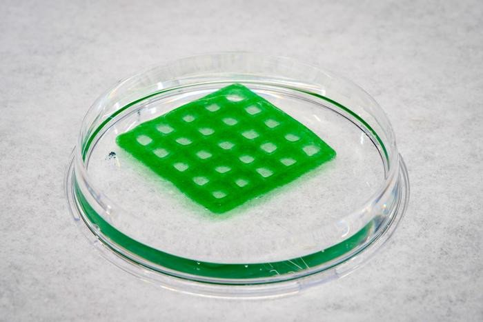 Напечатанный на 3D-принтере «живой материал» может очистить загрязненную воду