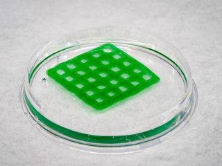 Напечатанный на 3D-принтере «живой материал» может очистить загрязненную воду