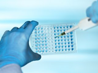Источник фото -ru.123rf.com