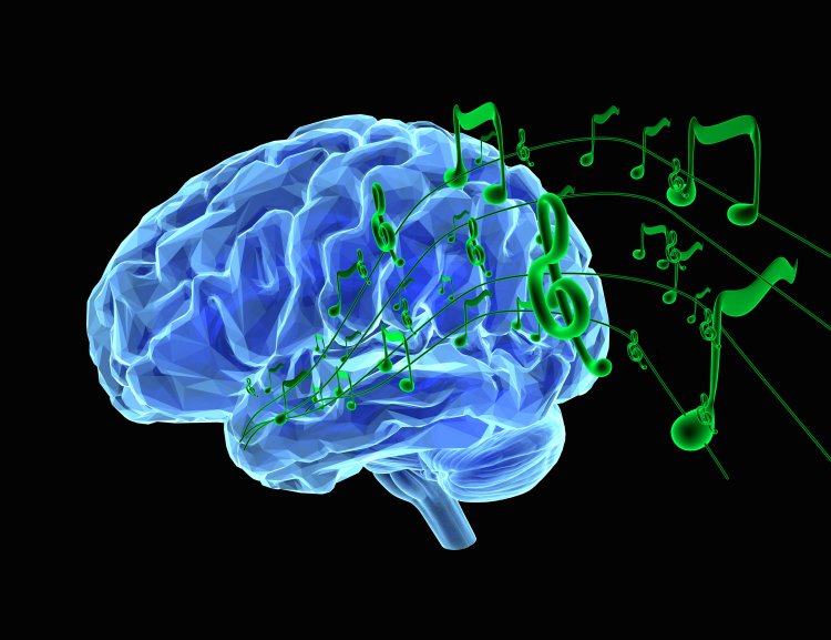 Как мозг координирует речь и дыхание