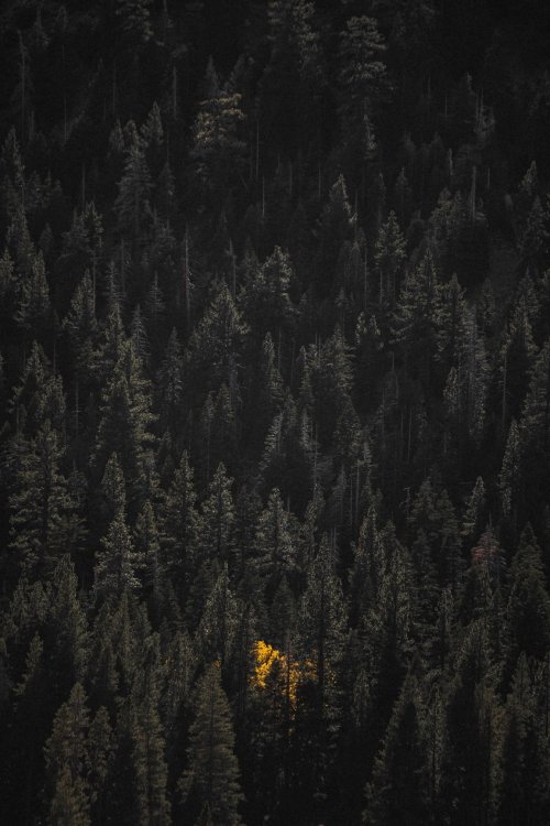 Изображение: rawpixel/Фотобанк RU.123.RF