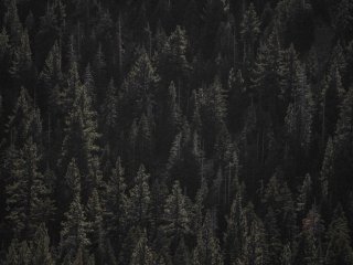 Изображение: rawpixel/Фотобанк RU.123.RF