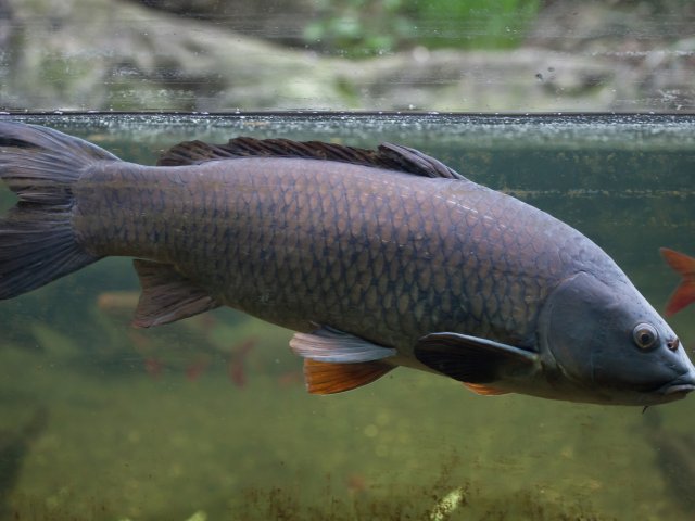 Источник - ru.123rf.com (2)